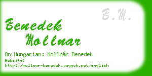 benedek mollnar business card